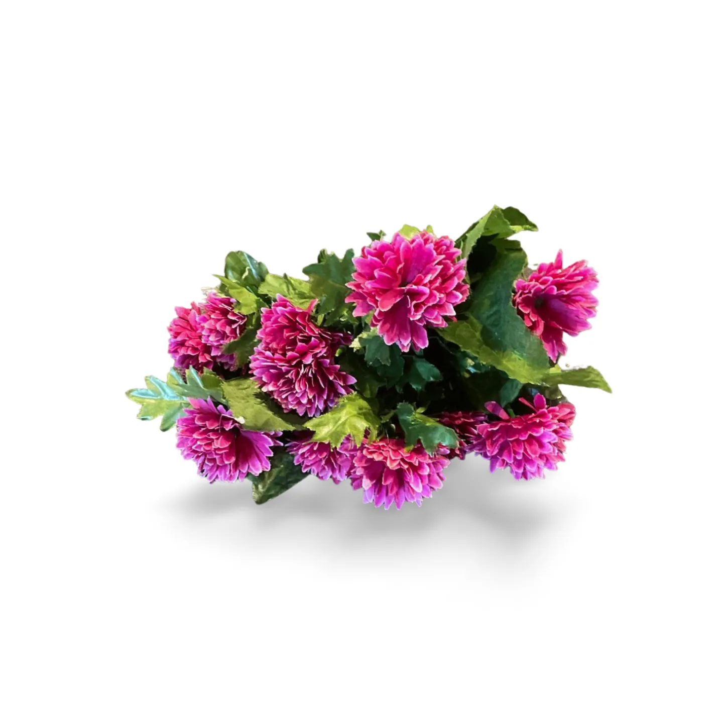 Dahlia Bouquet - Fuchsia