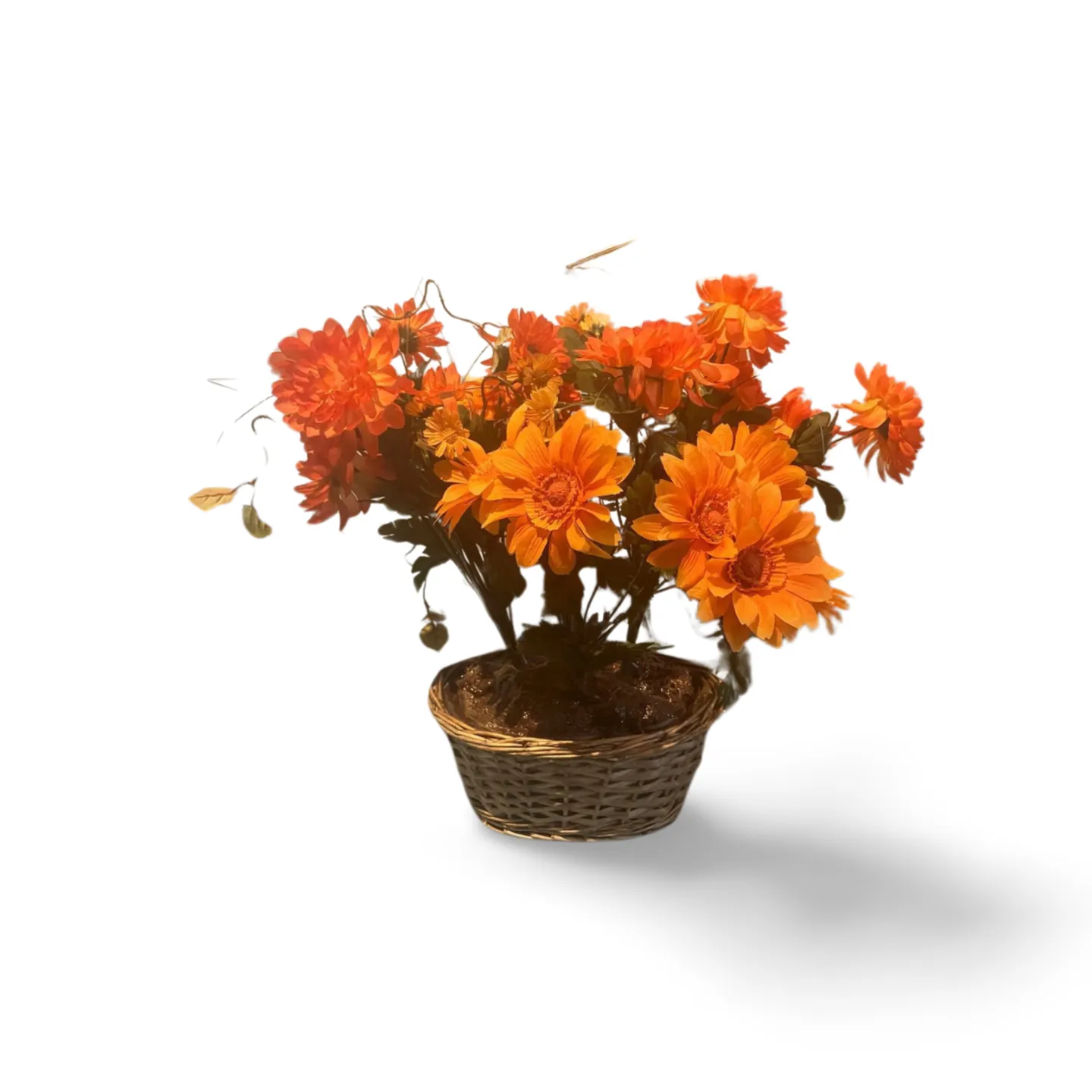 Chrysanthemums - Orange In Basket