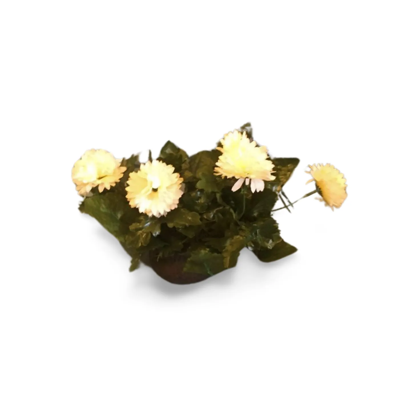 Flower Spray - White Planted 