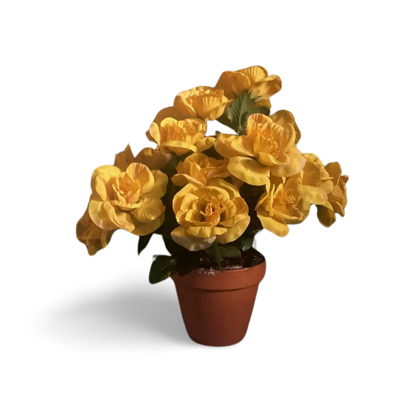 Roses - Yellow In Pot