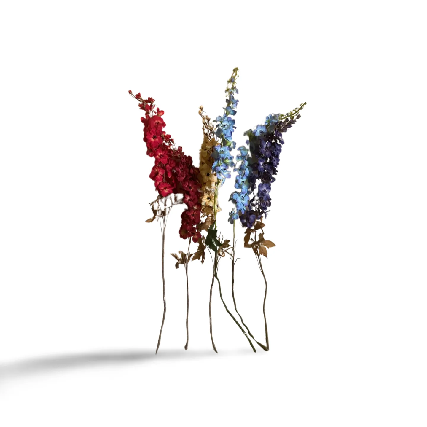 Larkspur / Delphinium Stems x6