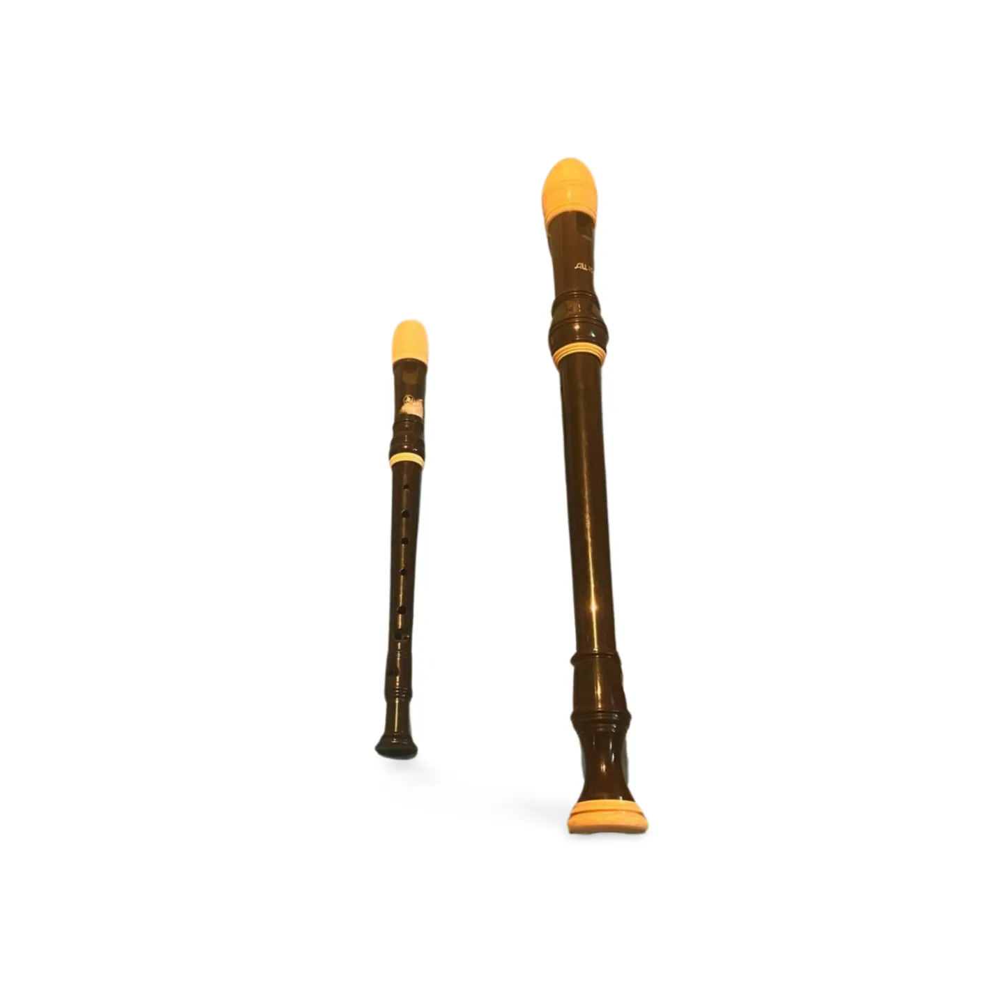 Recorders - Descant and Treble 