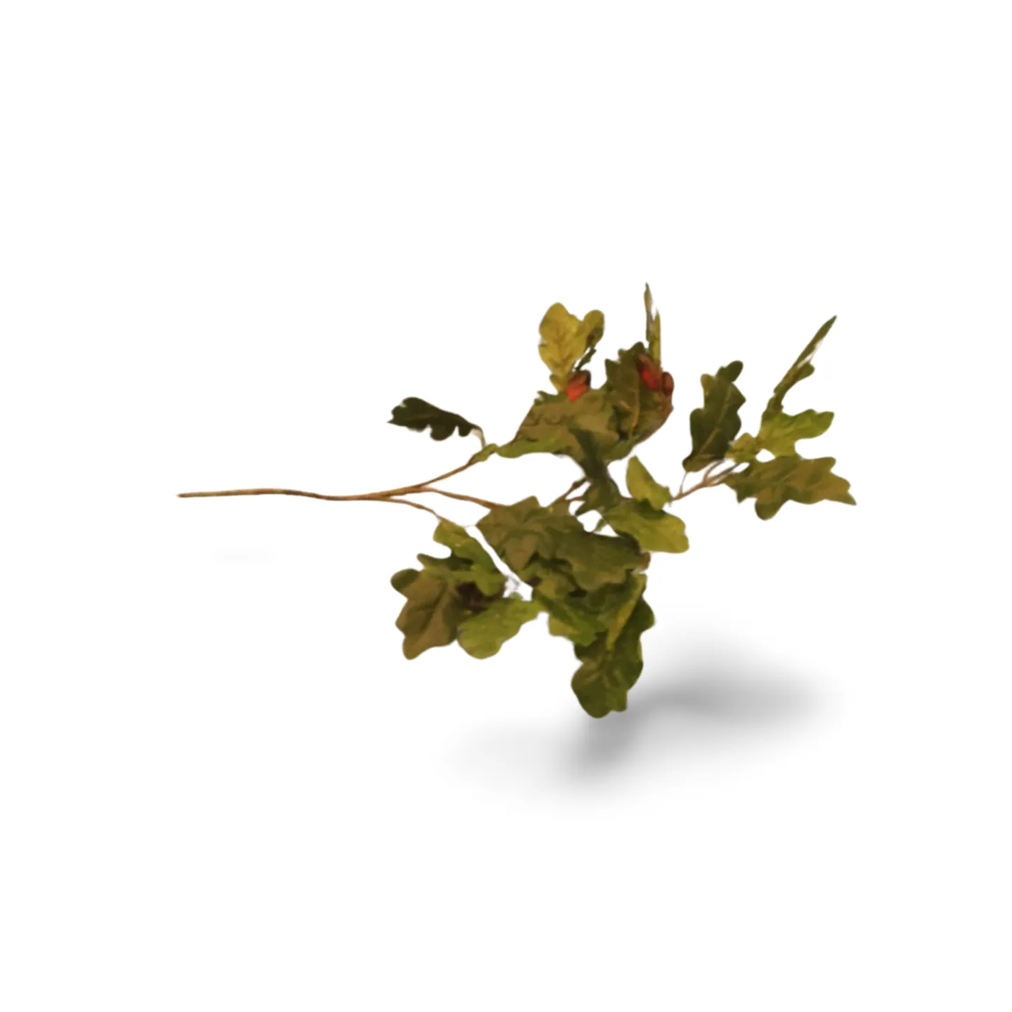 Oak Leaf Branch Spray With Acorns