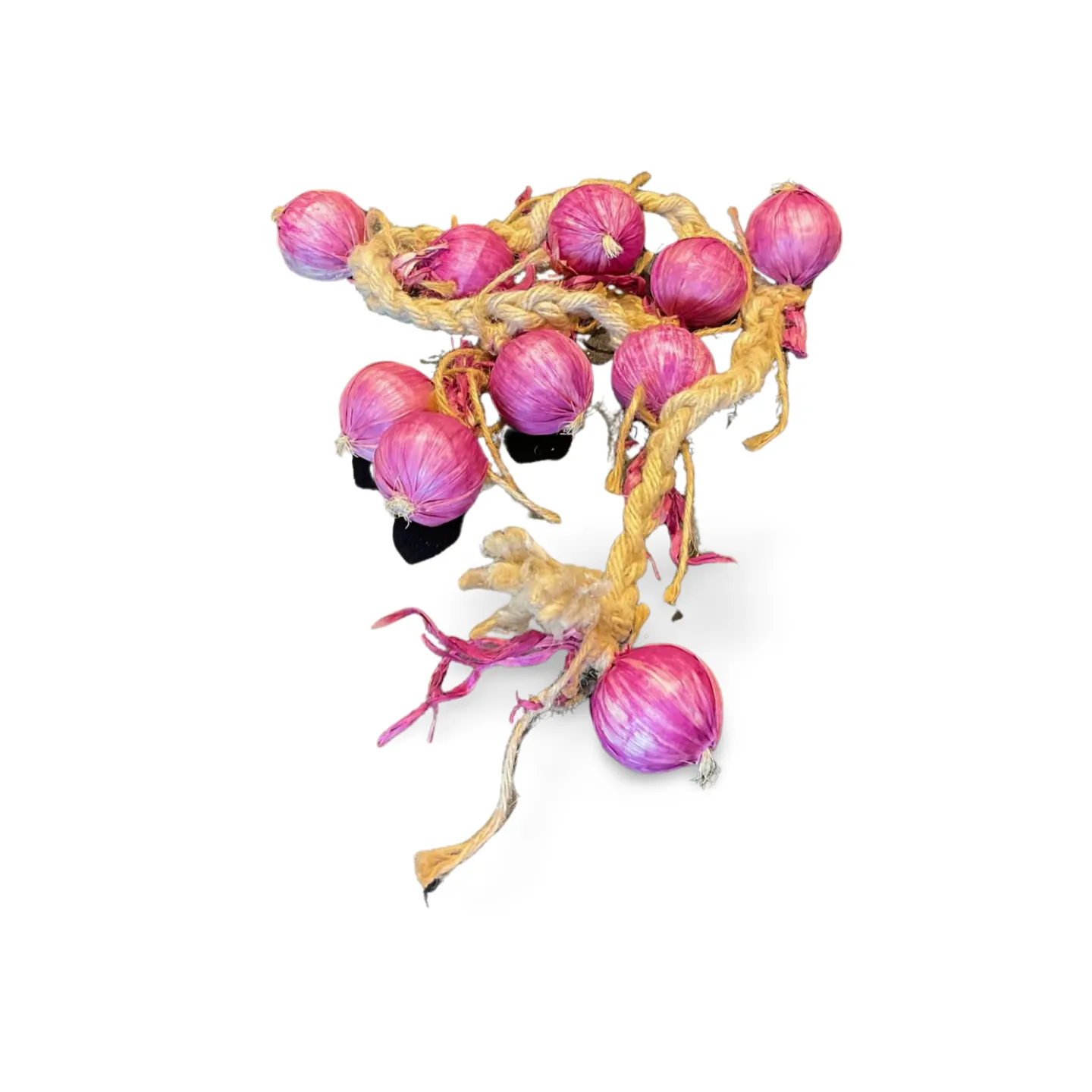 Onion String - Type 2