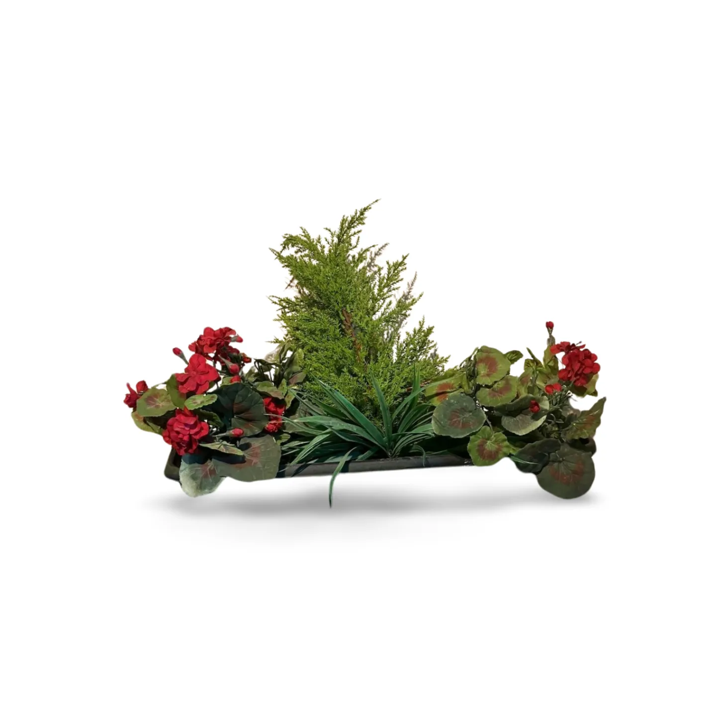 Geranium and Fern Planted Trough