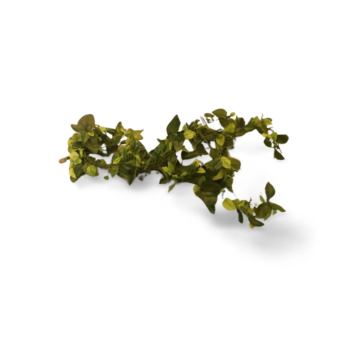 Leaf Creeper Garland - Small 