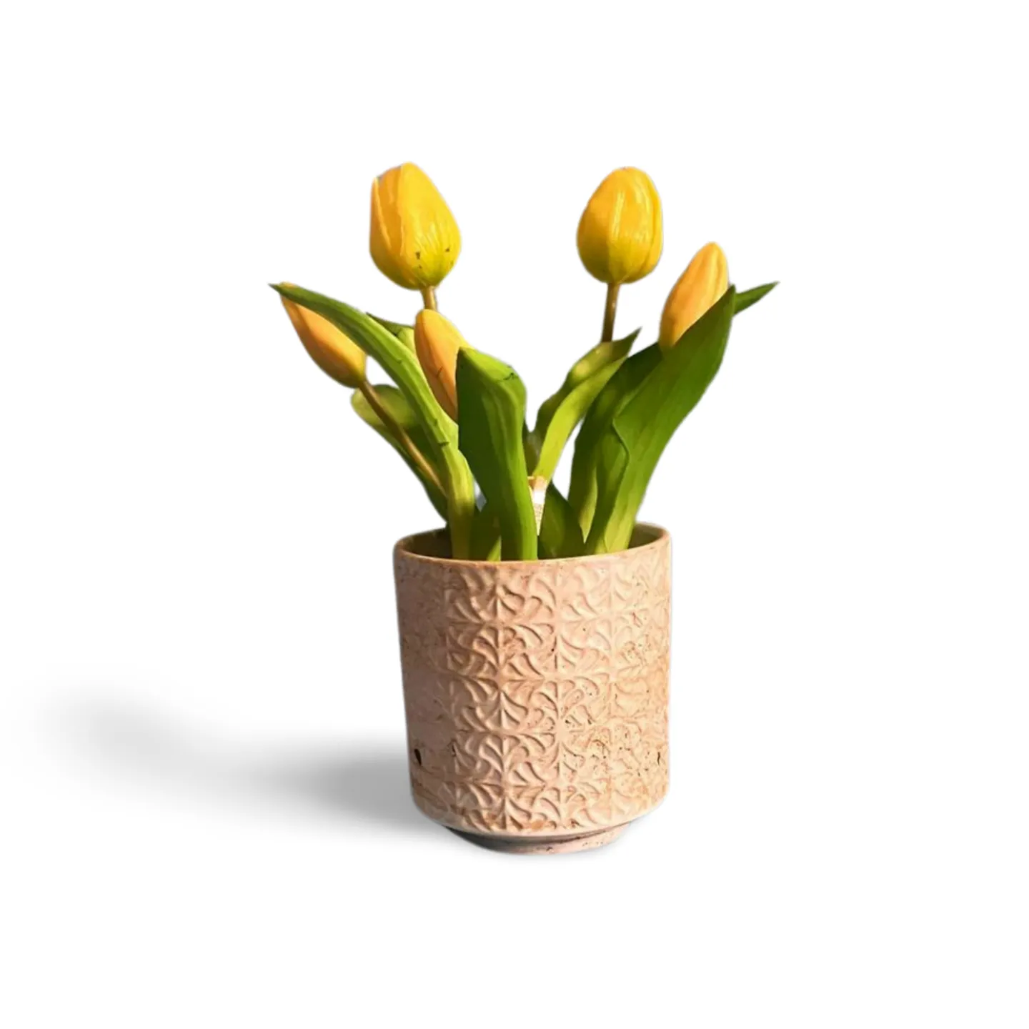Tulip In Pot - Yellow 