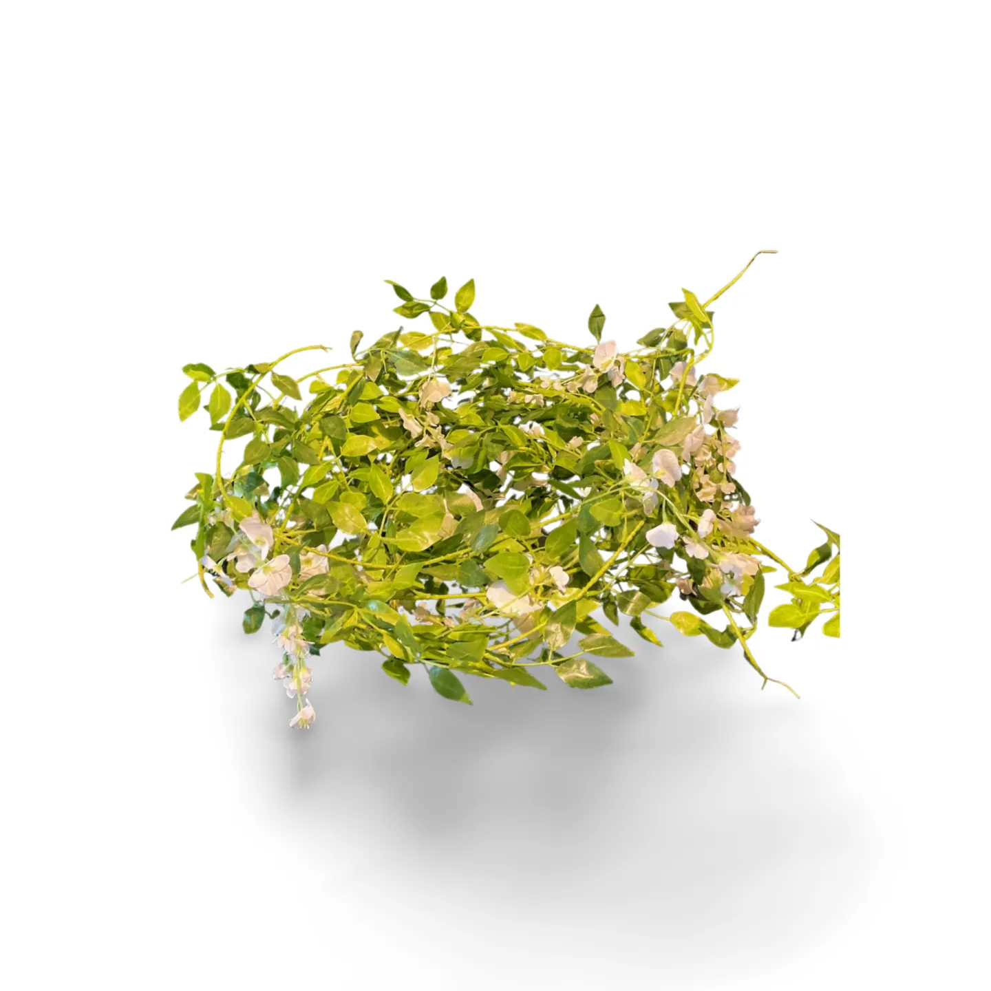 Floral Garlands - White