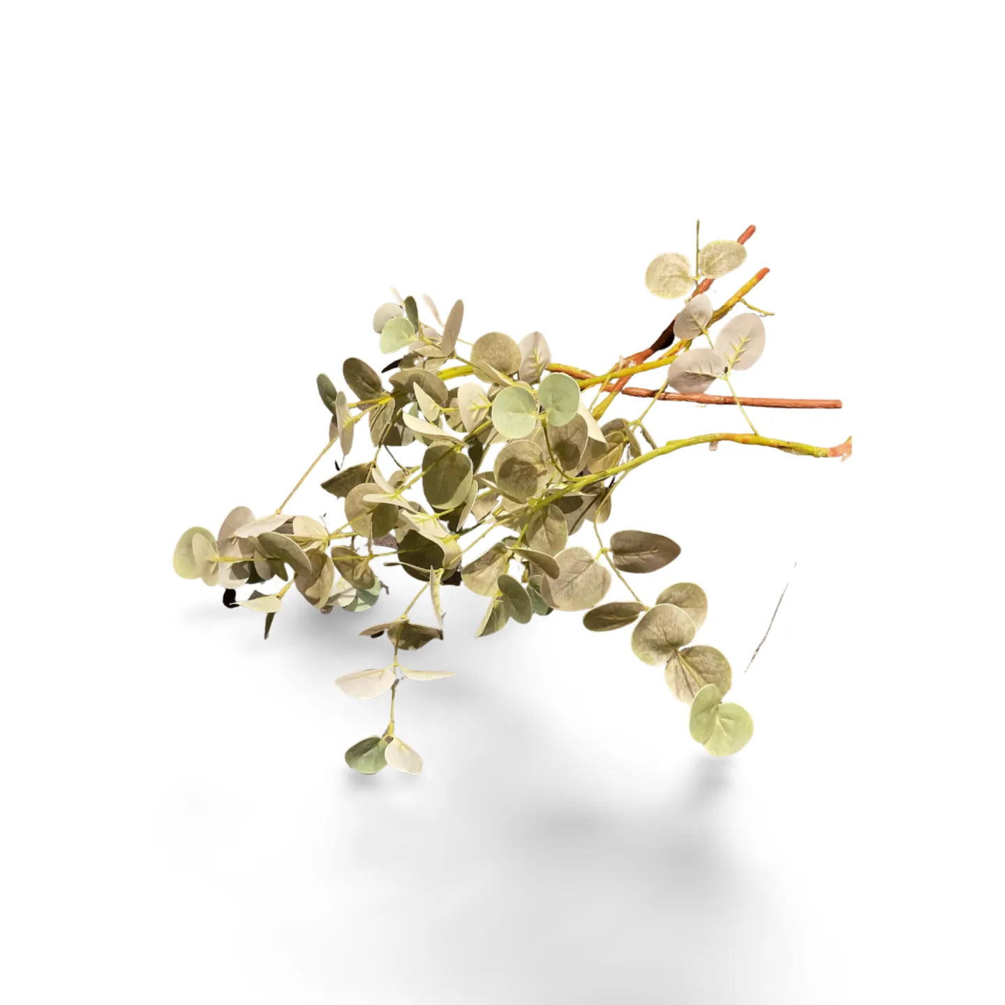 Eucalyptus Leaf Spray