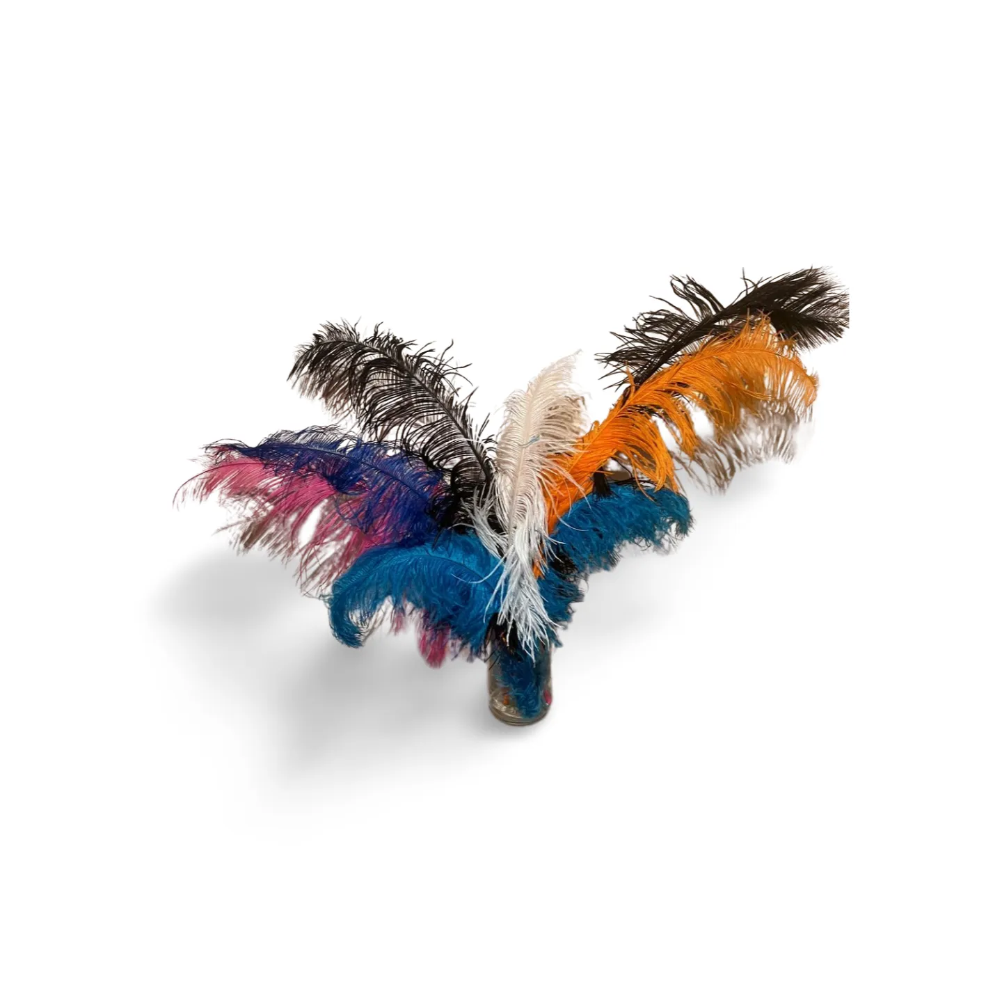 Ostrich feathers in jar x 8