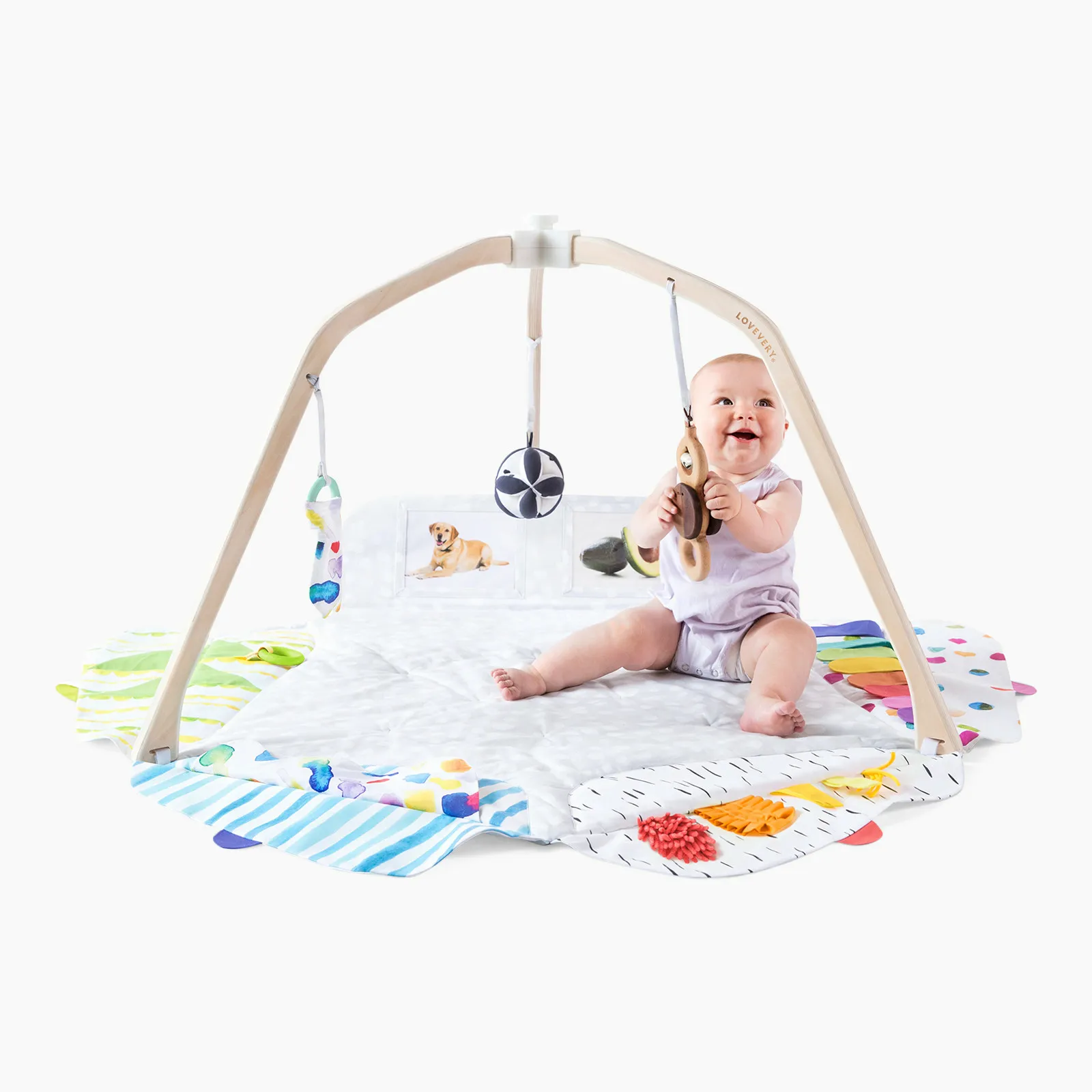 Love Every Play Gym