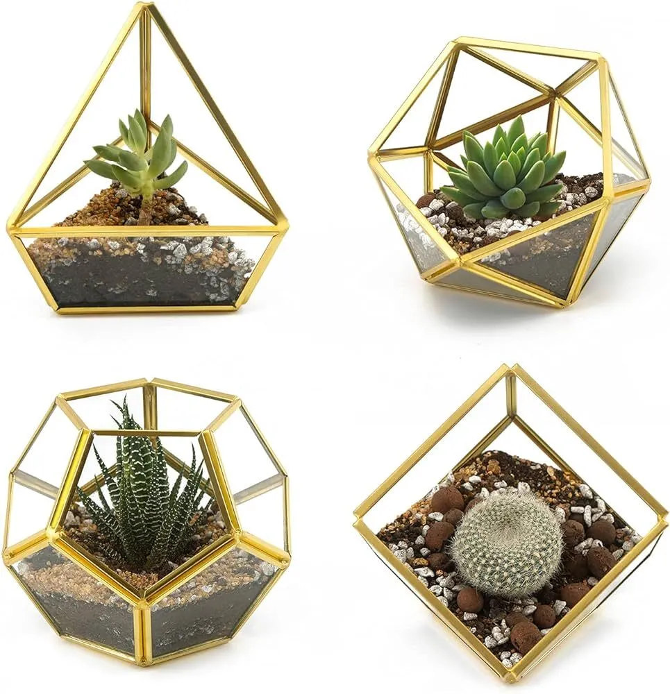 Glass Gold Terrariums - Various