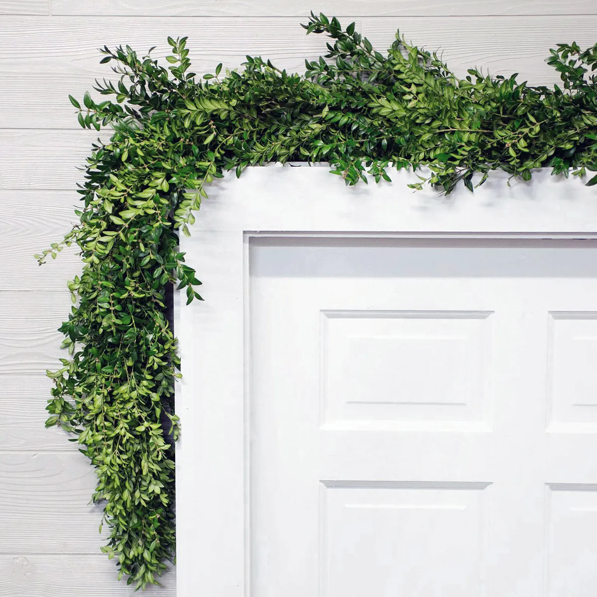 Garland - Boxwood