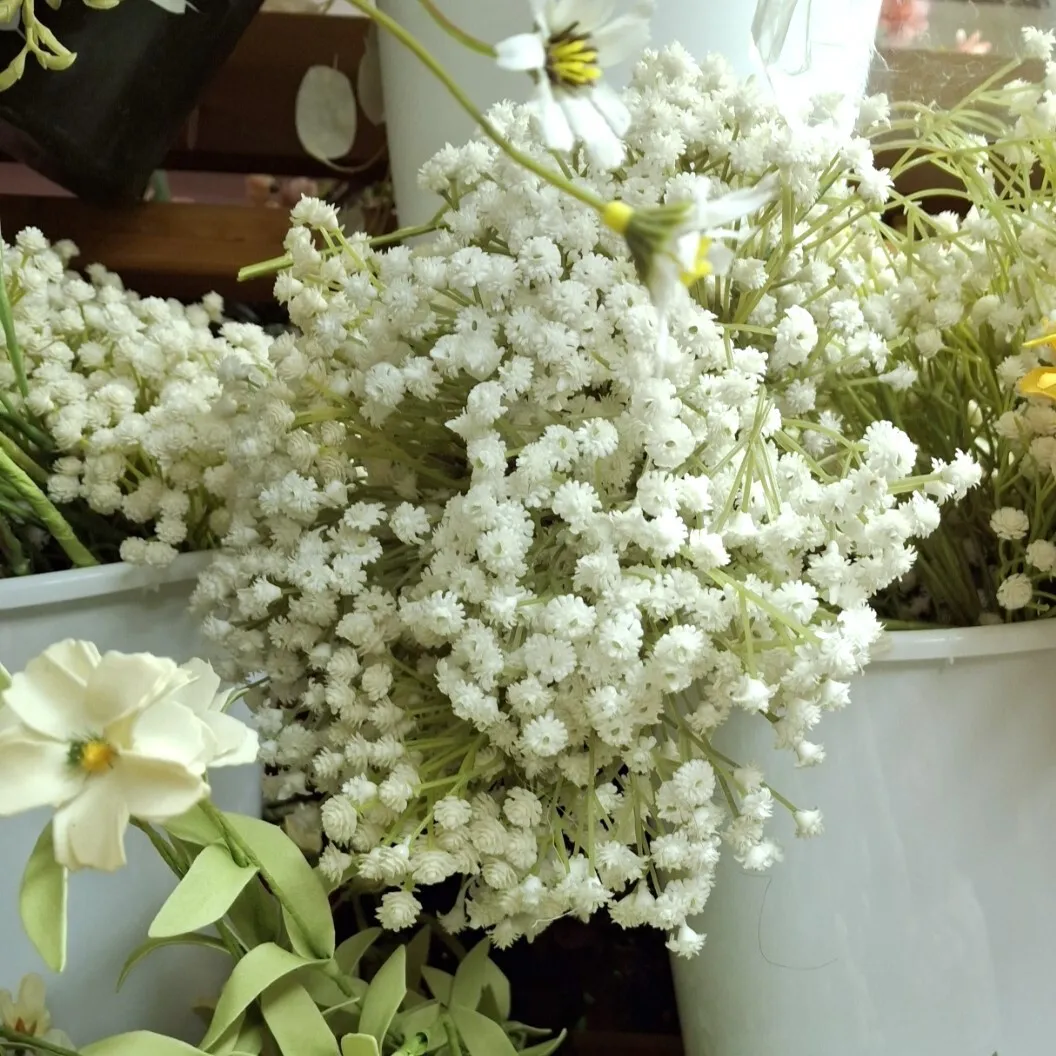 Baby's Breath Bunch