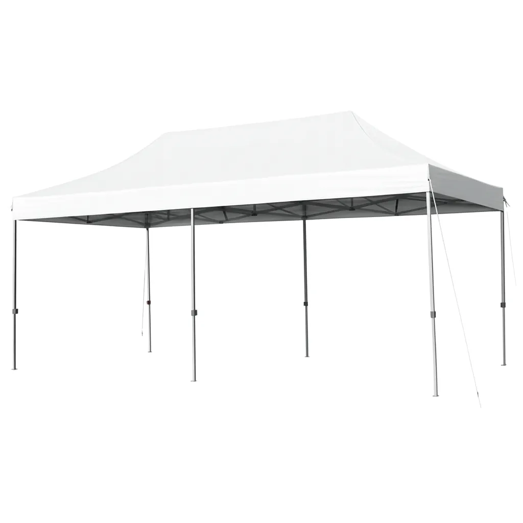 10 ft x 20 ft Canopy