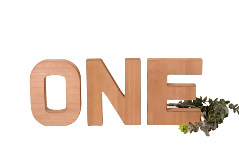 "ONE" Wooden Sign