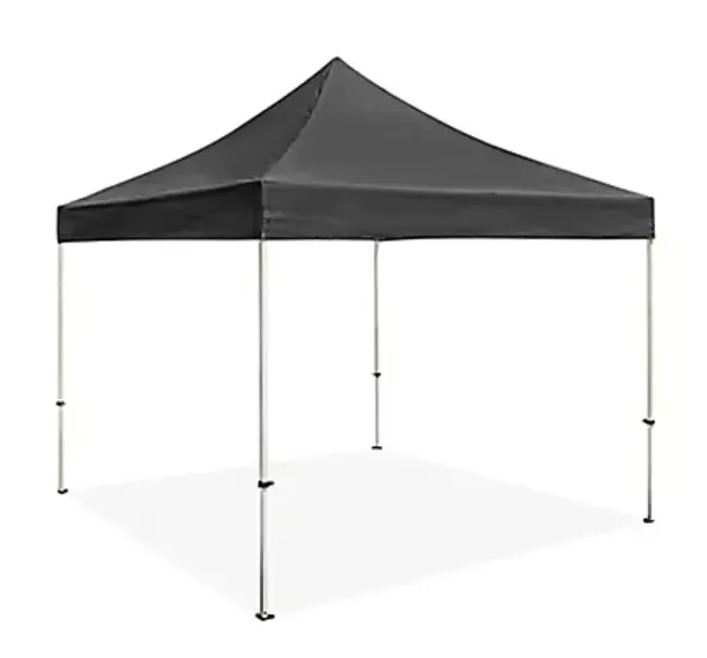 Black 10 X 10' Canopy 