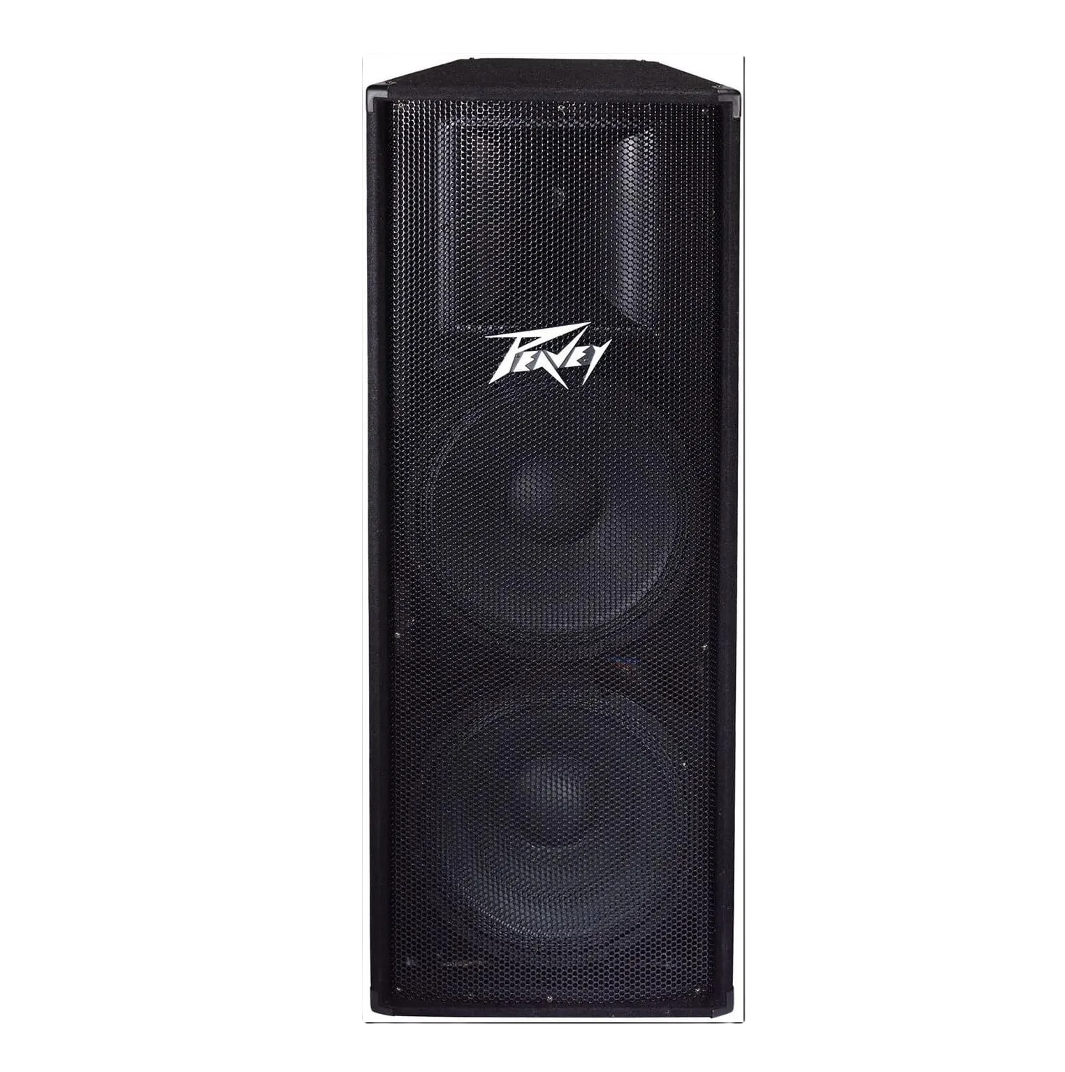 4 ft PA Speaker with Dual 15" Woofers