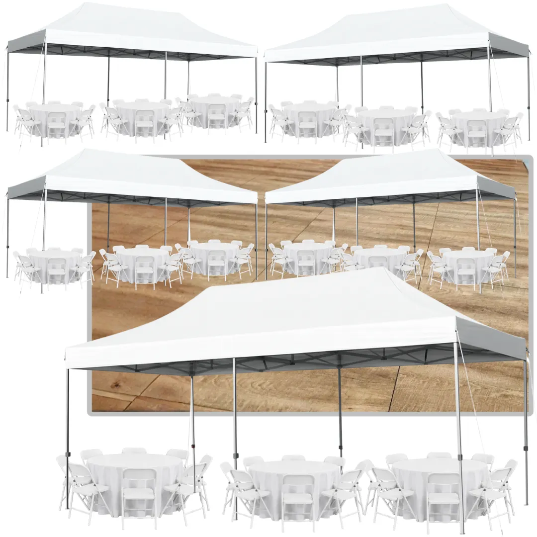 Celebration Series IV: The Deluxe Reception Floor