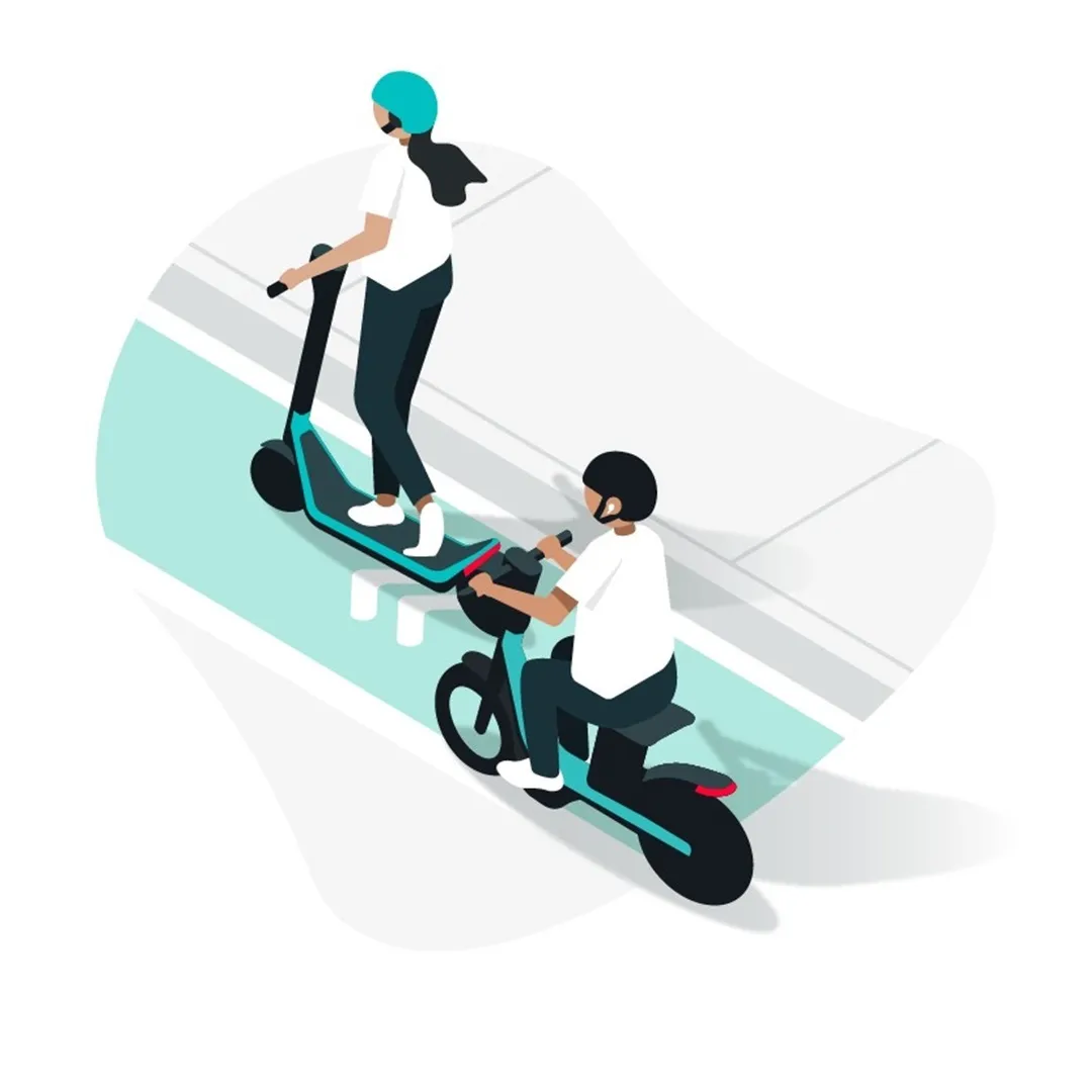 Tours & Lessons