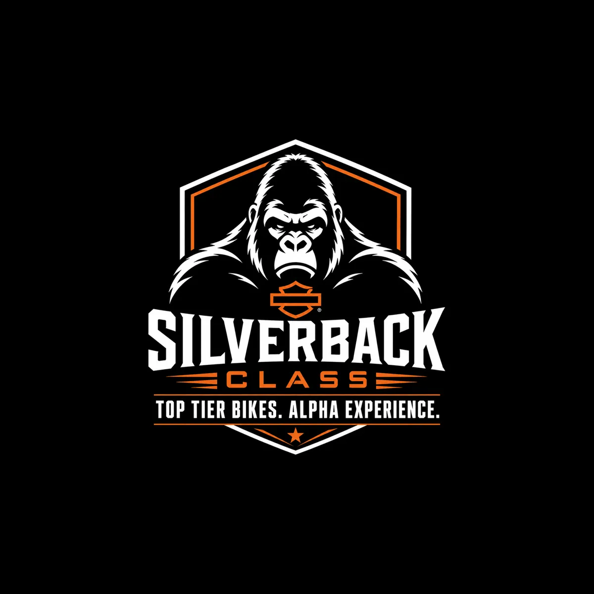 Silverback Class - $199