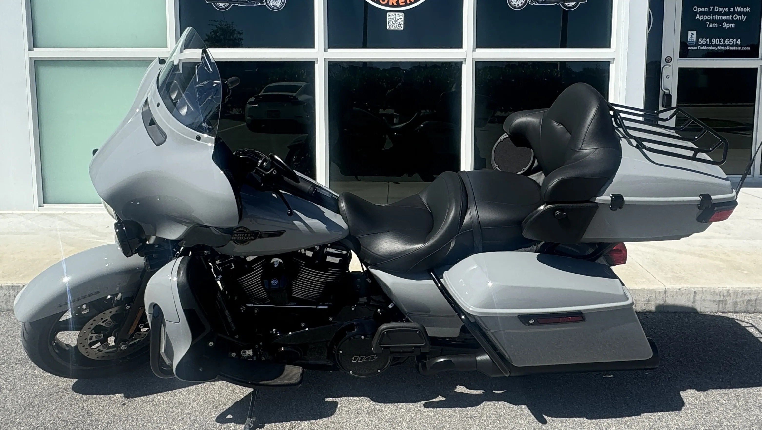 SG Limited 2024 Grey #4306