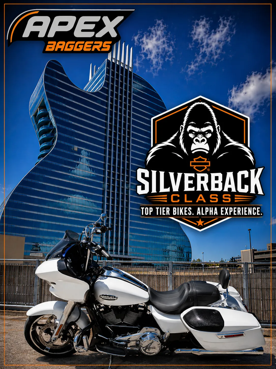2025 Road Glide - White #9790