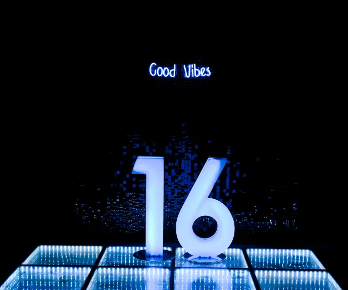 LED Number - 16