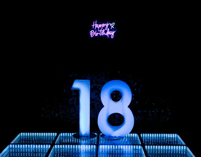 LED Number - 18