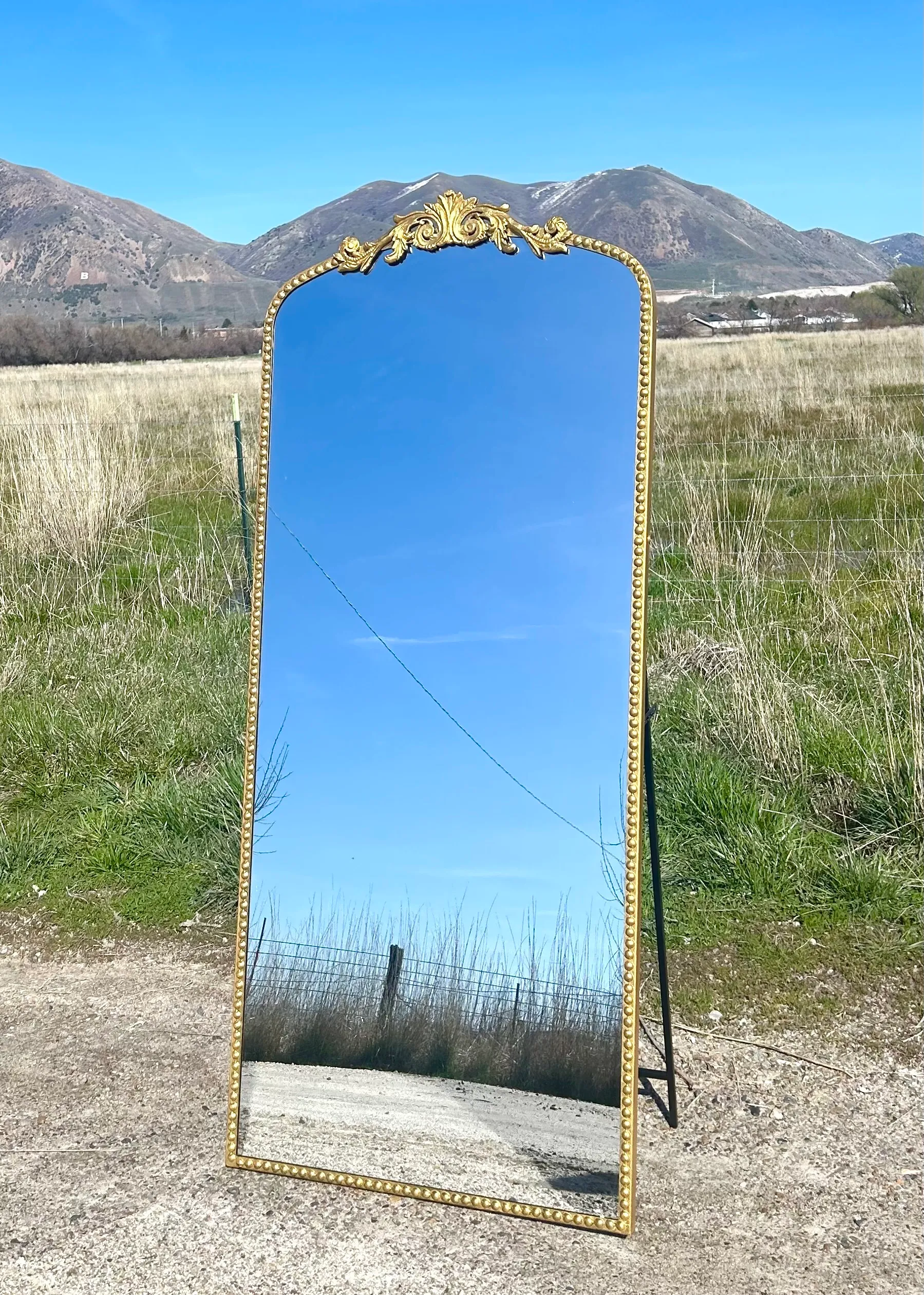 Gold ornate Standing Mirror