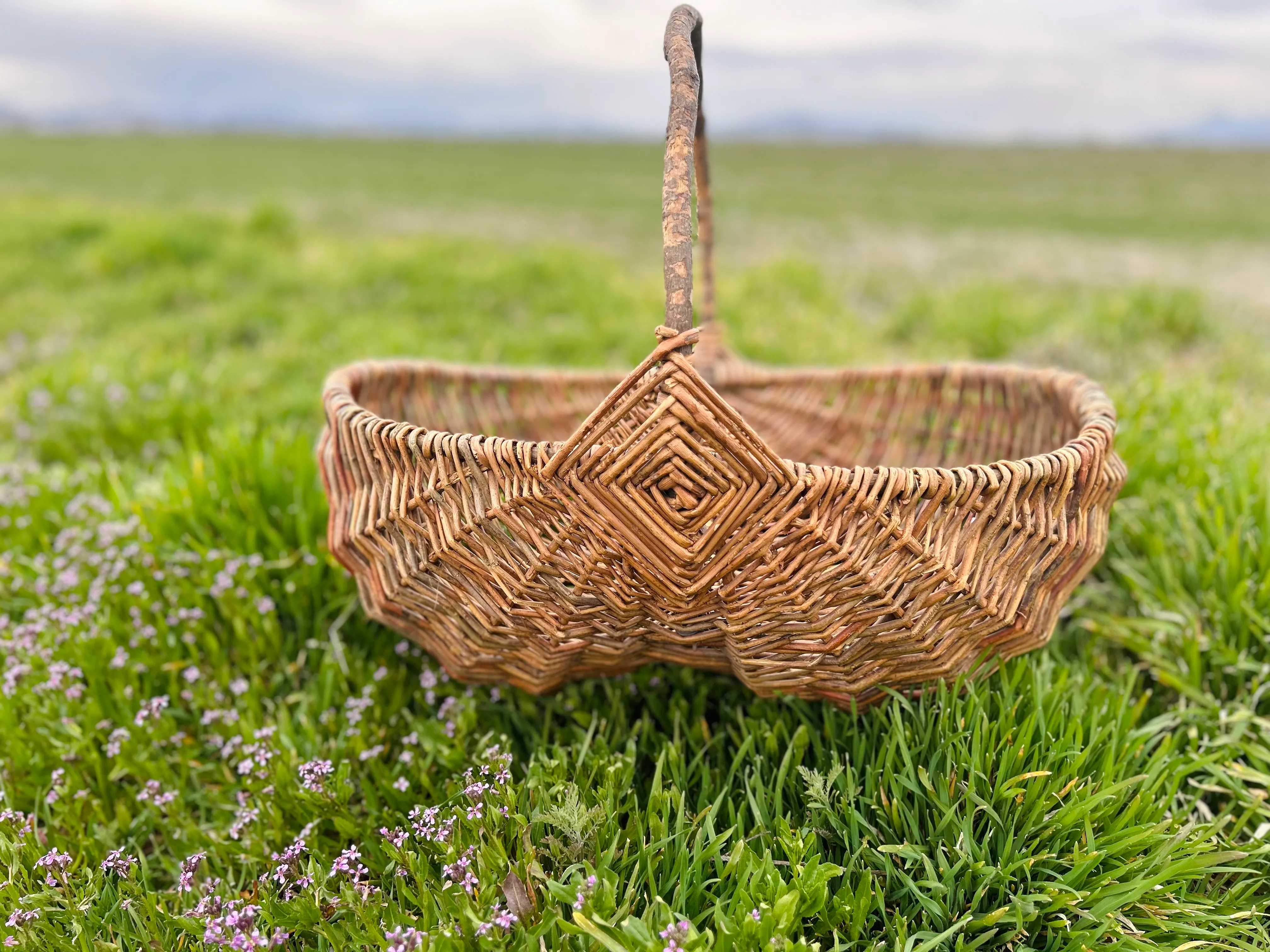Large Basket