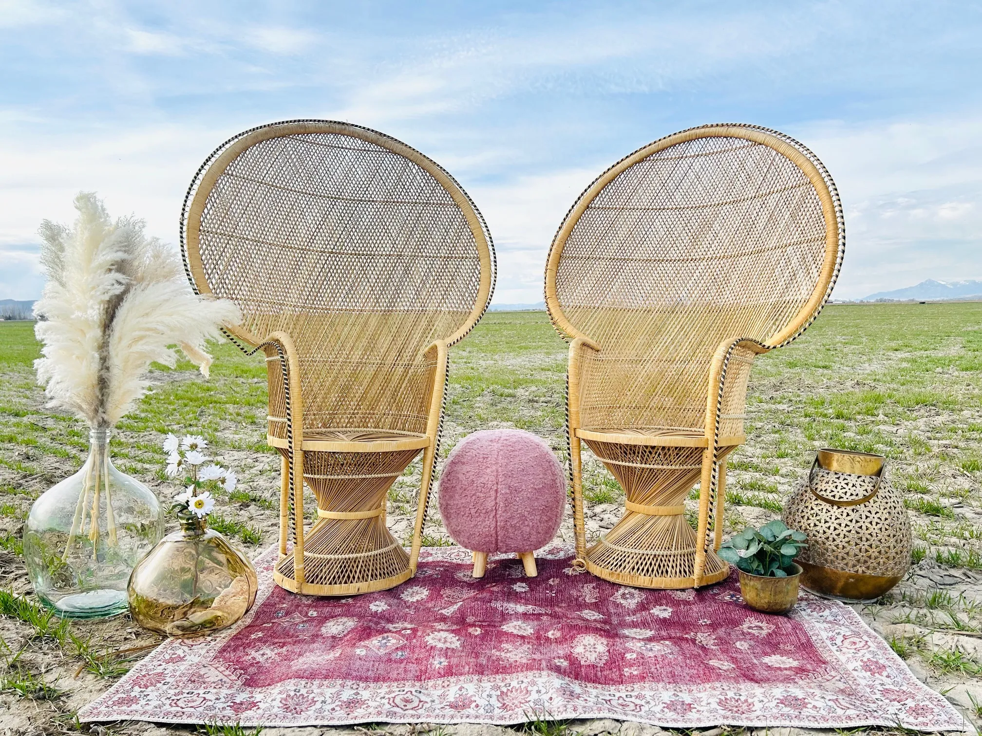 Vintage Peacock Chairs (2 piece set)