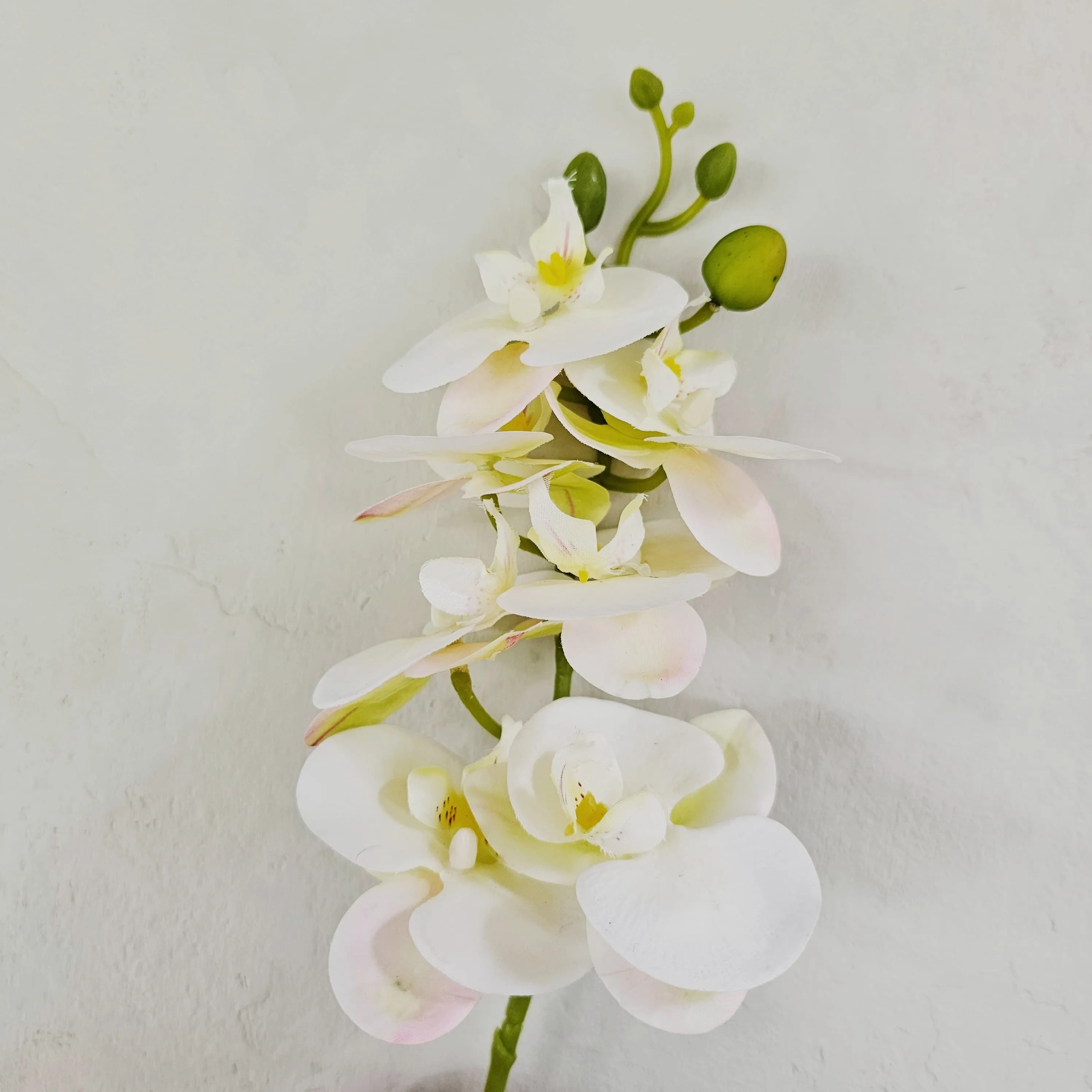 Orquidea hiperrealista mediana