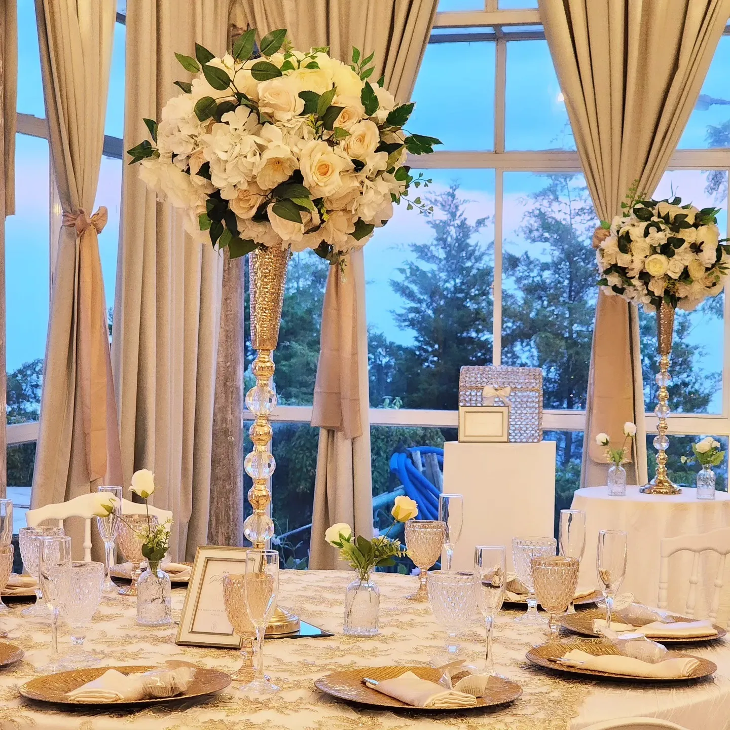 Paquete Deco Recepción 