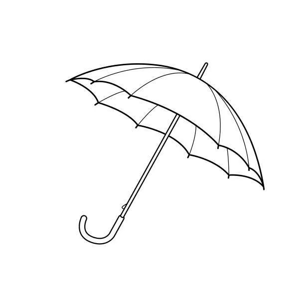 Umbrella