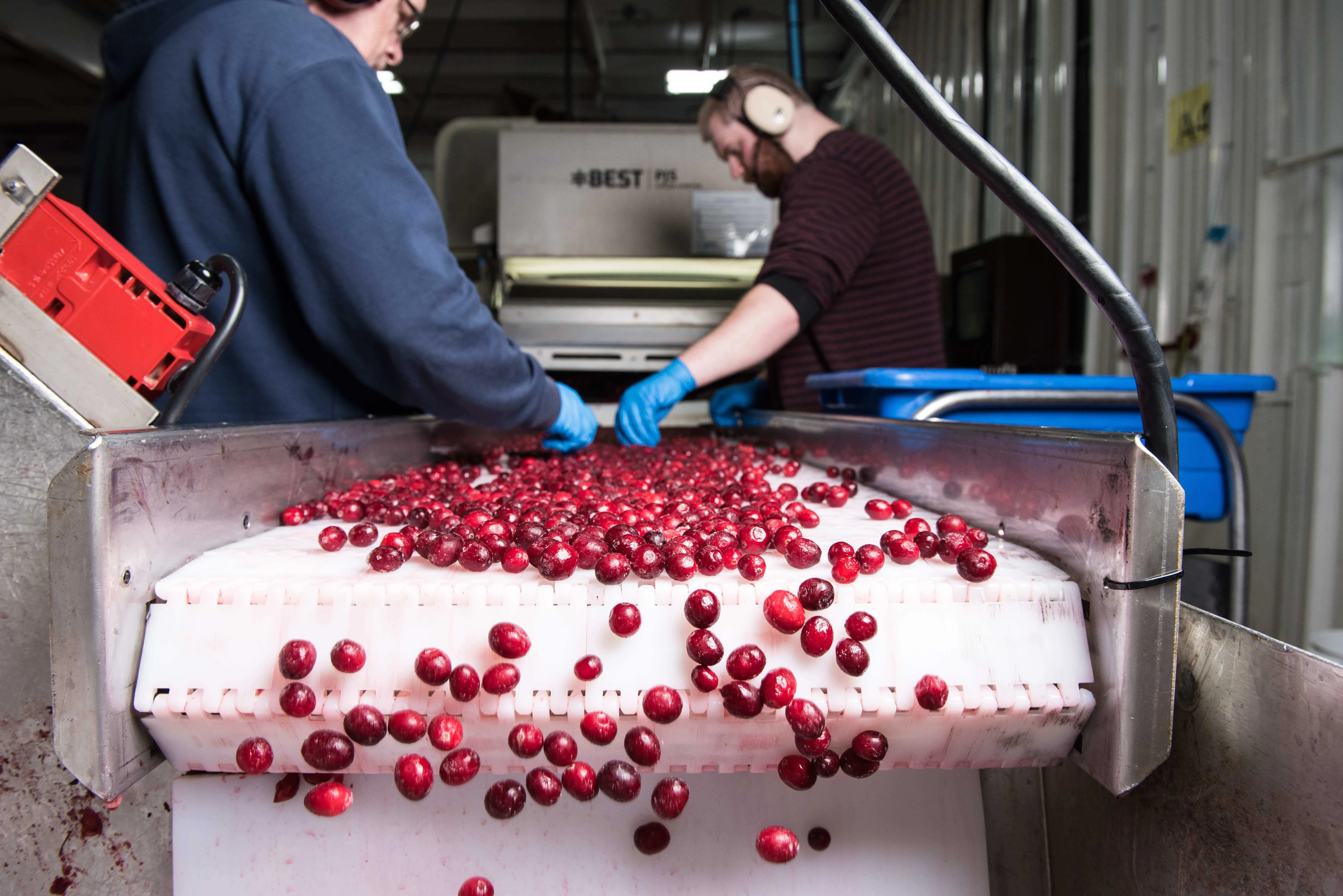 AFCOOP Animation Room and Acadia Building key