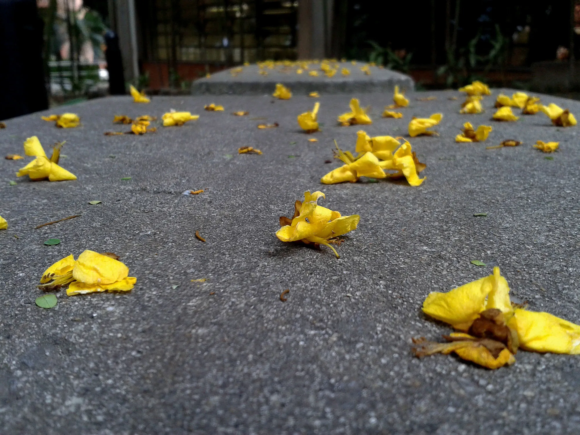 A302 - Main Studio Key - AA19