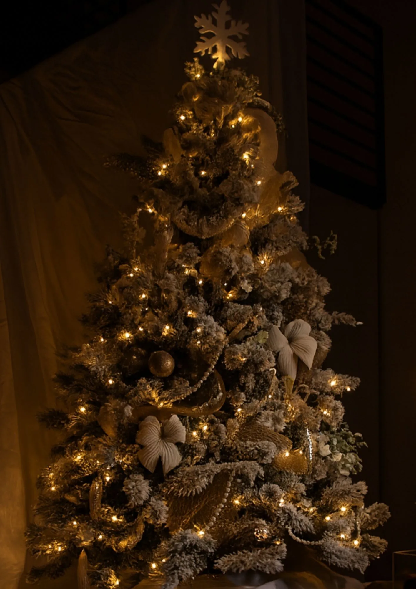 Le Sapin de Rêve – Clé en Main