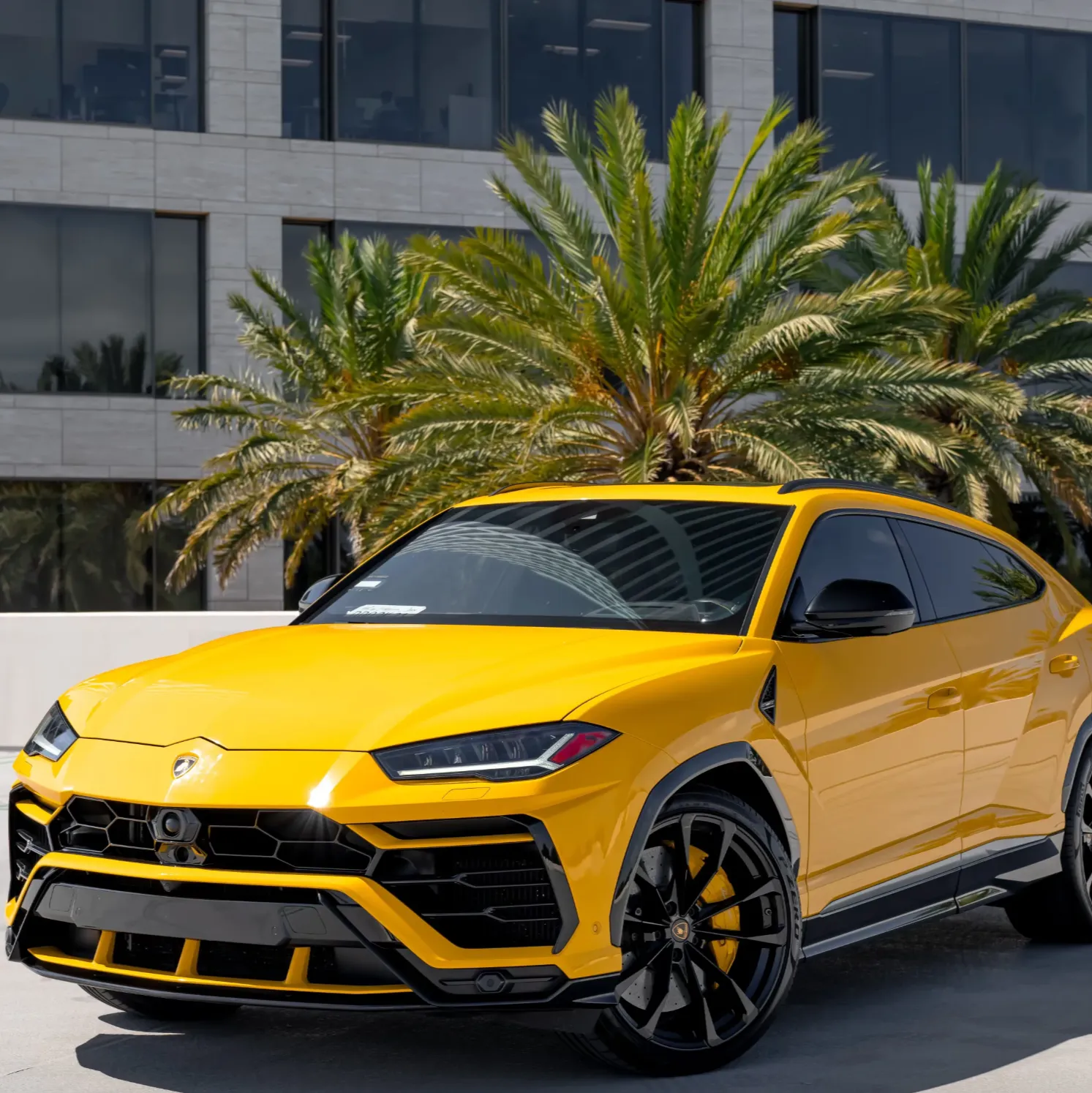 Lamborghini Urus - Yellow