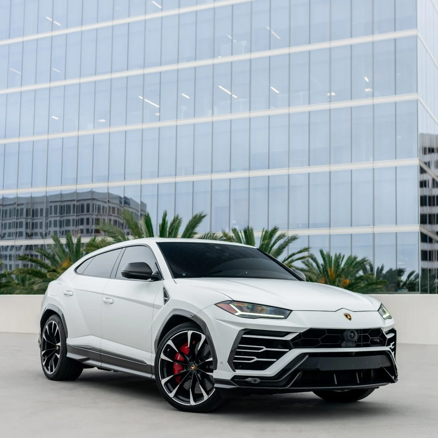 Lamborghini Urus - Matte White