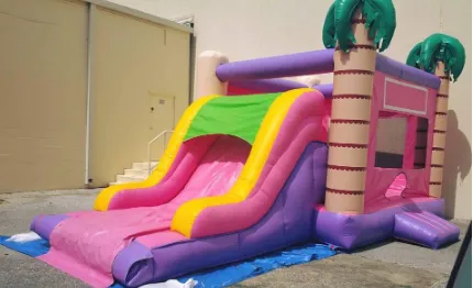 4 in 1 Pink & Purple Combo Bounce House