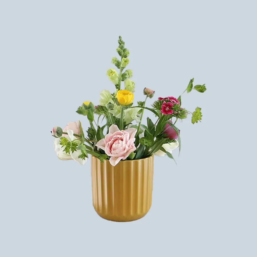 Sensa Ceramic Ribbed Vase + Plant