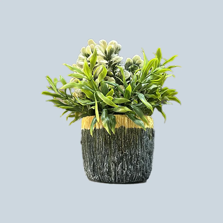 Wooden Planter + Plant 