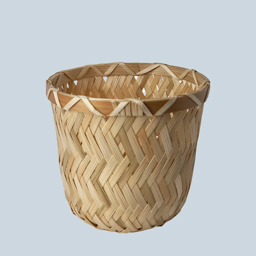 Plant Pot