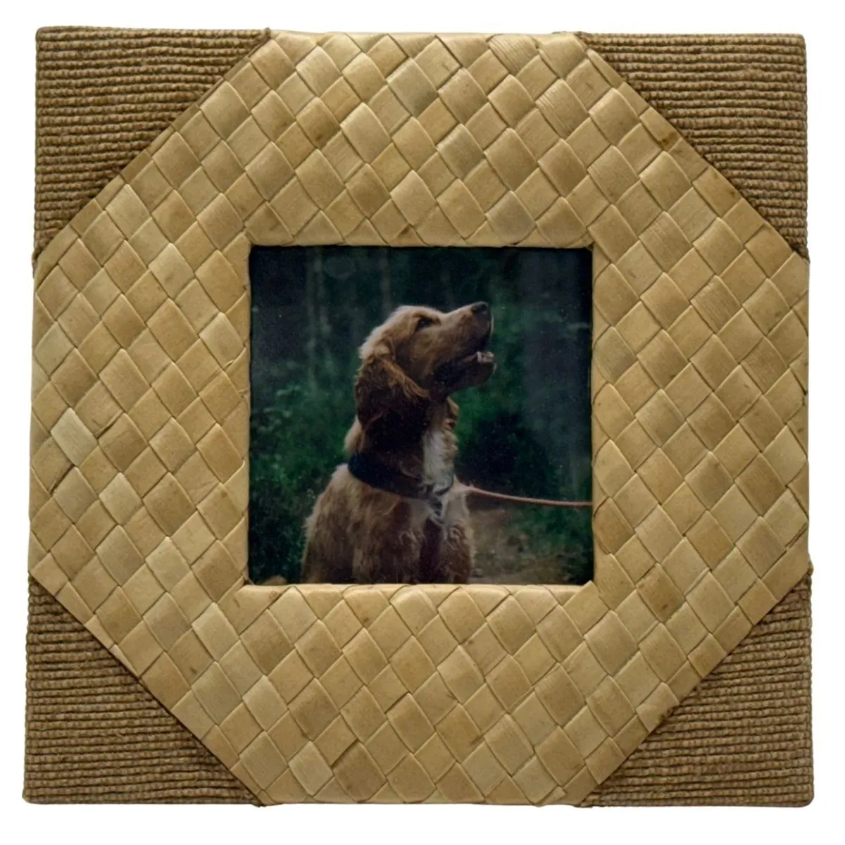 Two Tone Tan Square Woven Tabletop Frame With Dog Photograph