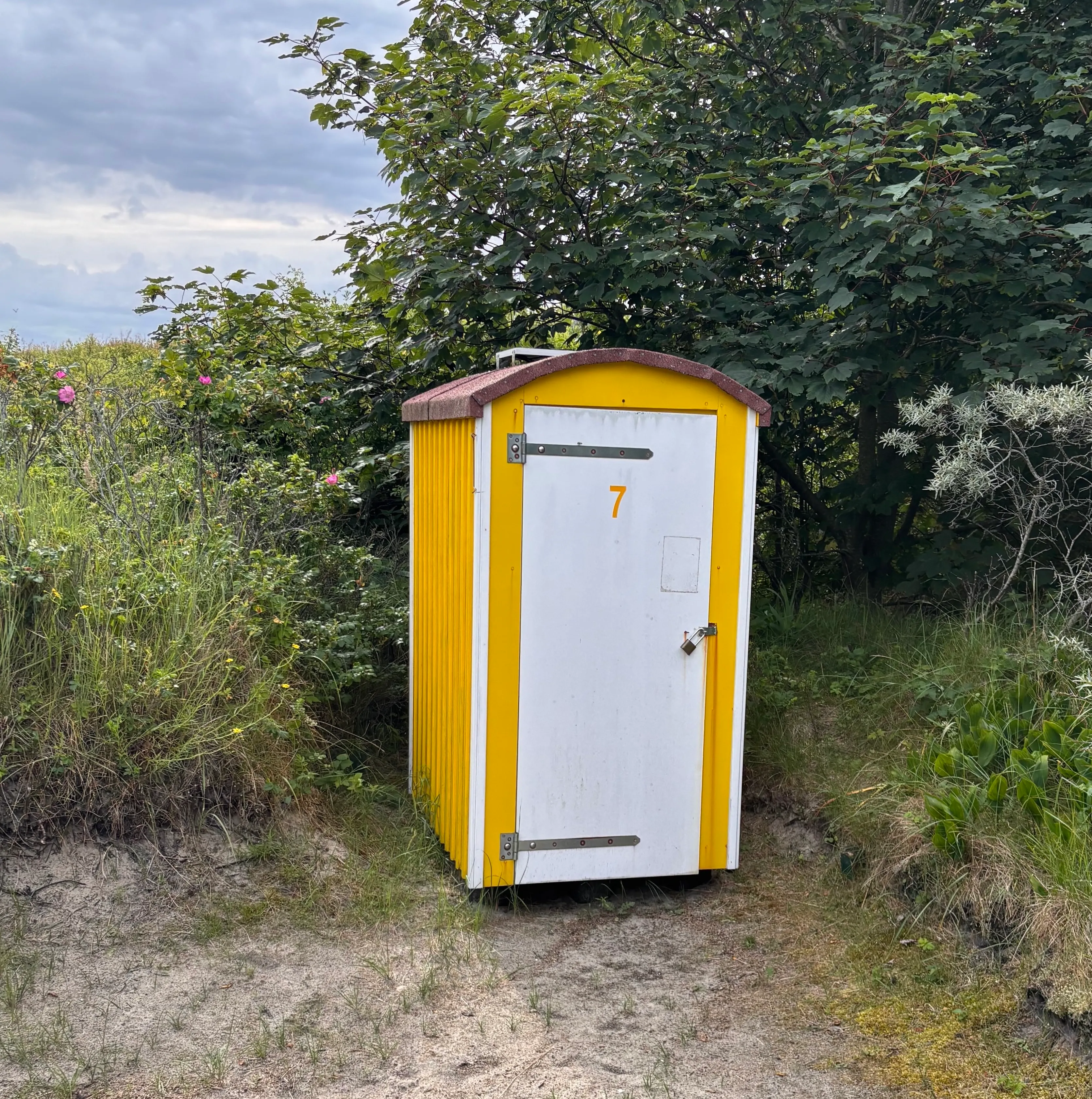 Budje 7