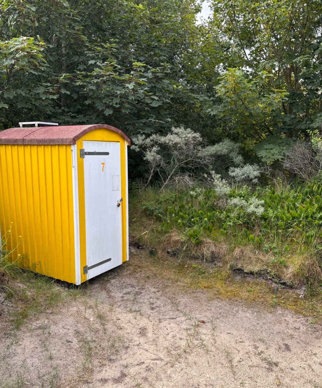 Budje 7