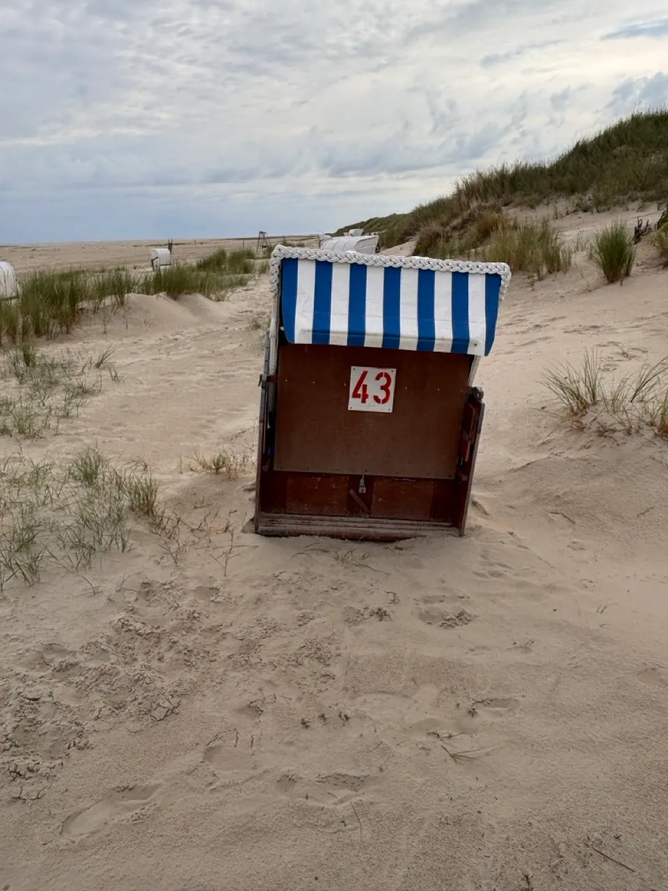 Strandkorb 43