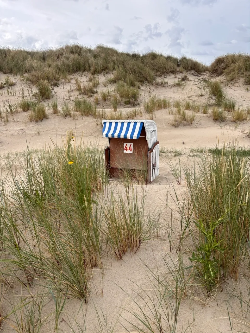 Strandkorb 44