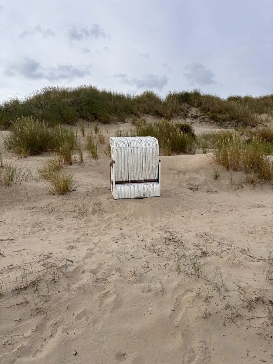 Strandkorb 26